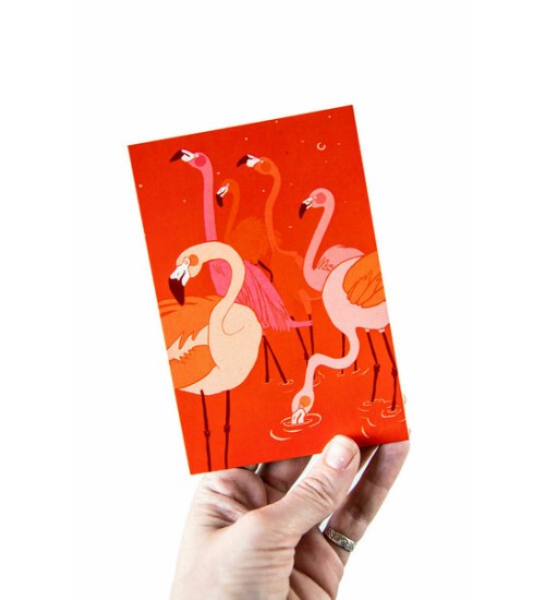 Postkaart "Flamingod"